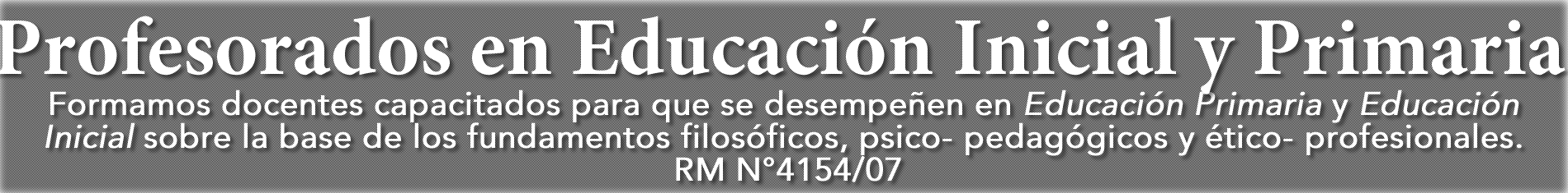 p_terciario-texto.png